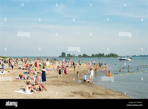 strand blijburg|blijburg beach.